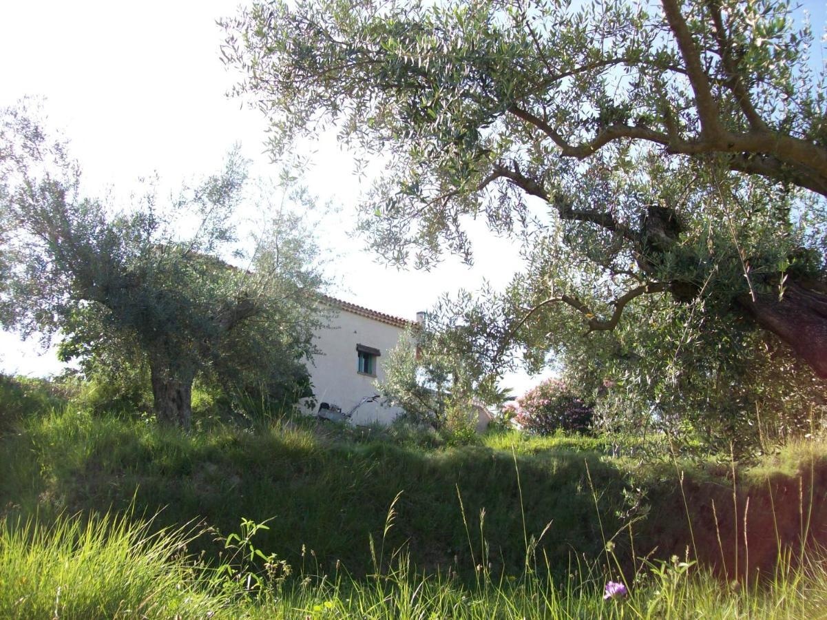 Casa Trotamundos Appartement Moratalla  Buitenkant foto